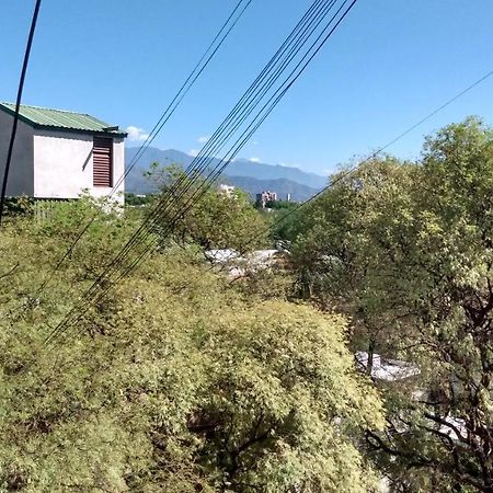 门多萨Acogedor Departamento Frente Al Parque Civico公寓 外观 照片